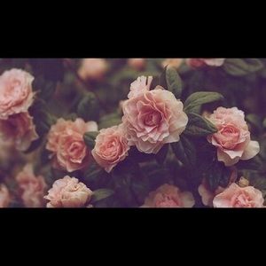 Meet your Posher, Leslie